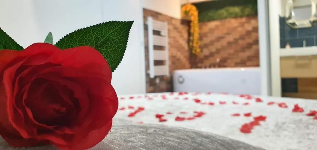 Love Rooms De La Presqu'Ile Saint-Vincent-de-Paul  Екстериор снимка